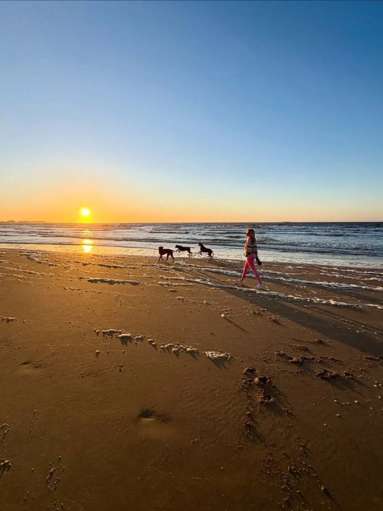 Charlotte Van Looy aan het wandelen met haar honden op het strand van Knokke-Heist.